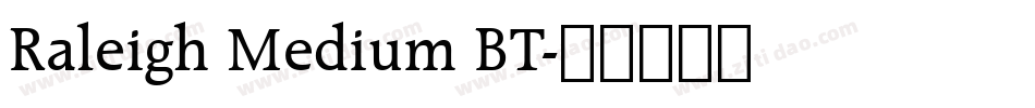 Raleigh Medium BT字体转换